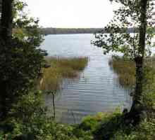 Najdublje jezero (Ruža općine, Moscow region): opis, ribolov i rekreaciju