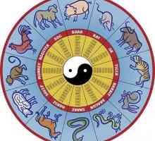 Year of the Ox: karakterističan. Znak bika, Istočnog / kineskom kalendaru