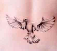 Dove - tetovažu, od kojih je značenje treba znati
