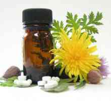 Homeopatski lijekovi - što je to? Kako da se homeopatskih lijekova?