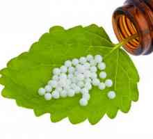 Homeopatija - šta je ovo? Glavni homeopatskih lijekova. Mišljenja za liječenje homeopatija
