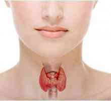 Paratiroidnog hormona: funkcija, utjecaj na ljudski organizam
