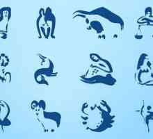 Horoskop: kako uvrijeđen znakova zodijaka?