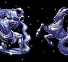 Horoskop kompatibilnost. Union Jarac-Vodolija žena + muškarac