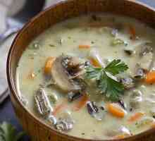 Kuhanje juha od gljiva s piletinom: zanimljivih recepata i kalorija