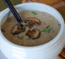Kuhanje juha u blenderu: recept ukusna juha s gljivama