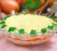 Pripremiti ukusna i zabava: salata sa konzerviranom tunom i jajima