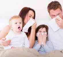 Gripa: vrste gripe, simptomi, liječenje, prevencija