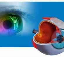"Očne bolesti Instituta" Gu (Ufa): dioptrije, dijagnostiku i liječenje oftalmoloških…