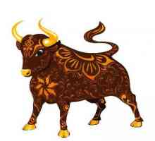 Karakteristike bika godine. Year of the Ox prema istočnoj kalendaru. To je godina vola će biti za…