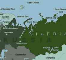 Karakteristike Centralne sibirskog visoravni. Central Siberian Plateau: topografija, dužina, položaj