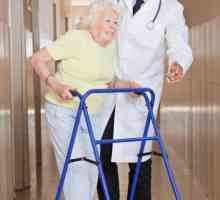 Hodalice za starije osobe: savjete o odabiru i recenzije