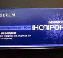 "Inspiron" (tablete): uputstva za upotrebu. Tablete i sirup "Inspiron": opis