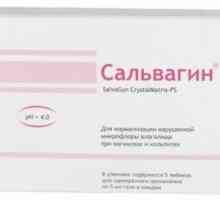 Intravaginalni antiseptički gel "salvagin": Uputstvo za upotrebu