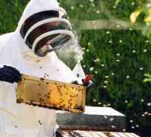 Inventar pčelar i pčelinjih alata. Što trebate znati prilikom odabira opreme za pčelarstvo
