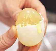 Artificial jaja - je li to moguće?