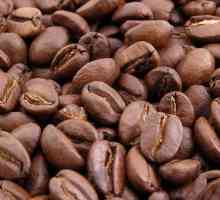 Ono što čini kafu? Gdje su kafu? Proizvodnju instant kave