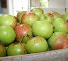 Jabuka Orlik: prekrasan voće s prekrasnim aromu