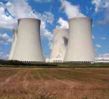 Nuklearnog goriva: vrste i obrade