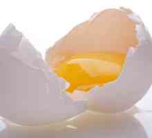 Jaje Protein: šta je to za?