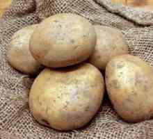 Vernalizacije krompir prije sadnje u zemlju