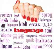 Lingvistika - to je ... Glavni sekcije lingvistike