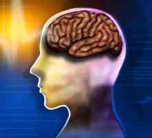 Efektivna lijekova za poboljšanje funkcije mozga i memorije