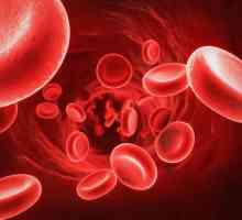 Efektivna tableta za podizanje hemoglobin