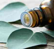 Eukaliptusa eterično ulje: svojstva i primjena, upute i povratne informacije