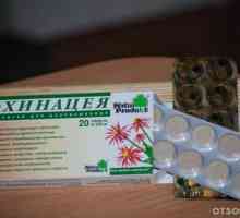 Echinacea tablete
