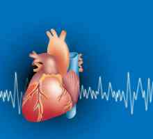 EKG stopa osnovnih pokazatelja