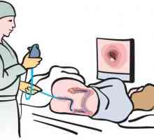 Crijeva endoskopija: šta je to, opis postupka, dokaza, priprema