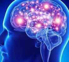 Epilepsija (epilepsija): Uzroci i tretman