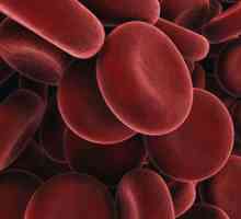 Crvena krvna zrnca se povećavaju u djeteta: koji su razlozi
