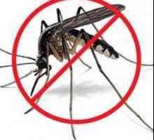 Kako se nositi s komarcima. dobar savjet