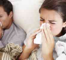 Koliko brzo izliječiti gripa kod kuće? Folk lijekova. lijek
