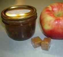 Kako da biste dobili pektin jabuka u kući?