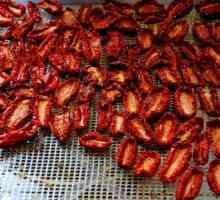 Kako se pripremiti za zimu na suncu sušene rajčice u rerni, i mikrovalna pećnica