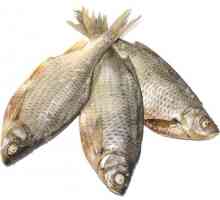 Kako čuvati sušene ribe kod kuće. Pravila pripreme ribe