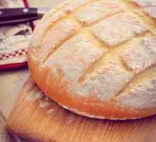Kako ispeći kruh u multivarka "Redmond." Bijeli kruh ili raž - odlučite