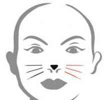Kako nacrtati mačka lice. Uputstva i preporuke