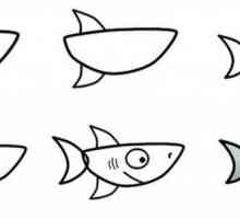 Kako nacrtati morskog psa: master class za različite uzraste