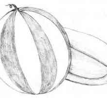 Kako nacrtati lubenice, tako da je bilo kao pravi
