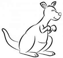 Kako nacrtati olovkom kengura faze?