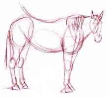 Kako nacrtati konja sa jednostavnim olovkom