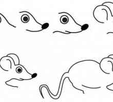 Kako nacrtati miš, dva master-klase