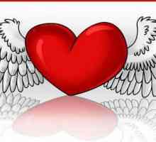 Kako nacrtati srce sa krilima: korisnih savjeta