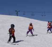 Kako naučiti dijete da skija. osnovne tehnike