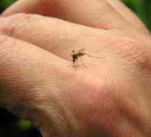 Kako za ublažavanje uboda komaraca u djece?