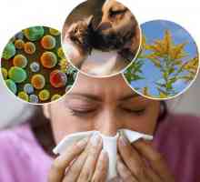 Kako razlikovati alergije iz hladnog - u čemu je razlika